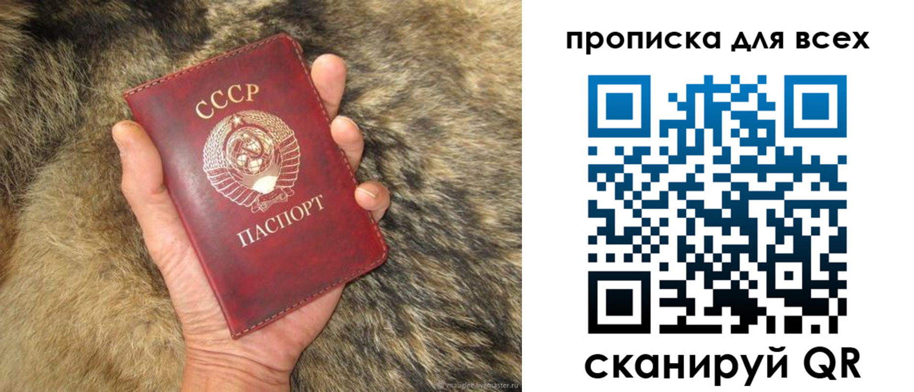 прописка в квартире в Нововоронеже